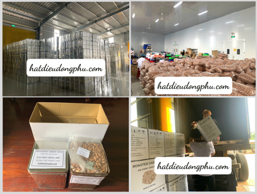 Hạt điều A180 đóng thùng thiếc xuất khẩu